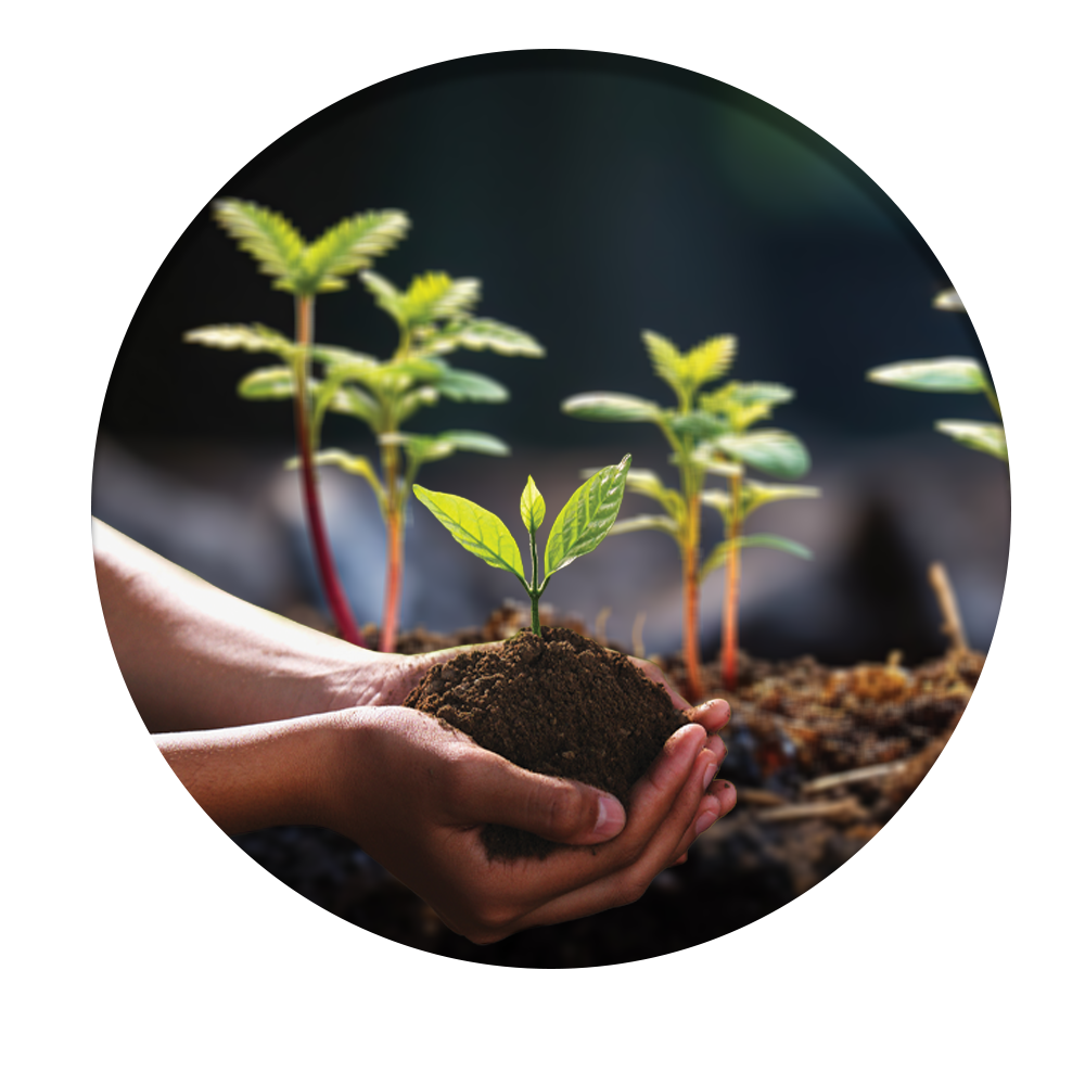 https://soluzioninaturali.eu/wp-content/uploads/2025/02/bactoterra-plant-2.png